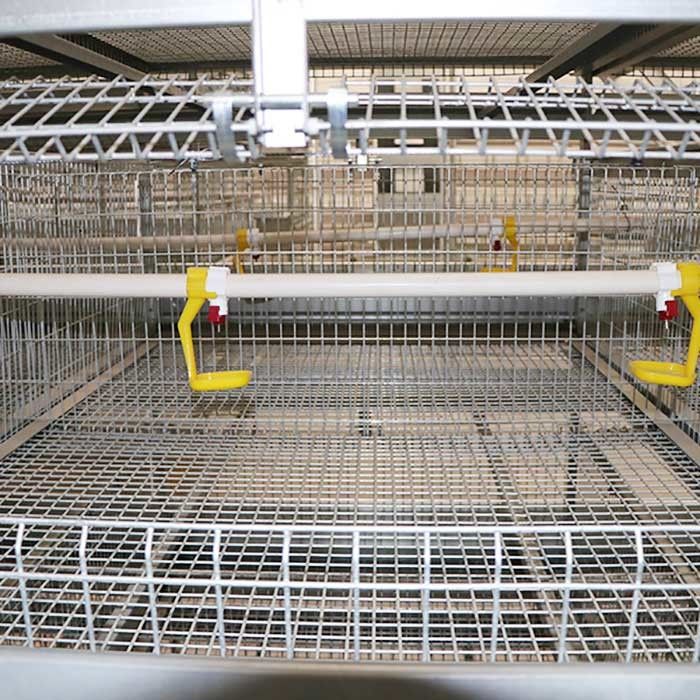 قفس مزرعه طیور مقاوم در برابر پیری ، سیستم قفس باتری سه لایه برای جوجه های گوشتی