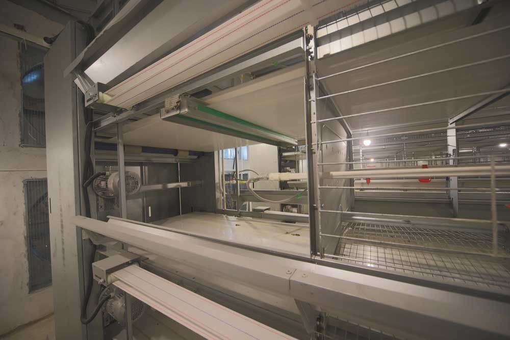 قفس های تولید سیم با کارایی بالا 24 استفاده تجاری سلول با سیستم آشامیدنی