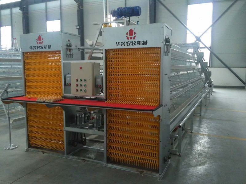 Henan Huaxing Poultry Equipments Co.,Ltd. خط تولید کارخانه