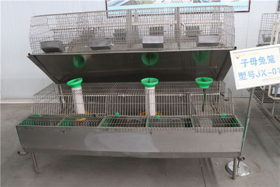 سیستم کنترل اتوماتیک قفس خرگوش مشبک 24 پستی مرغداری تجاری