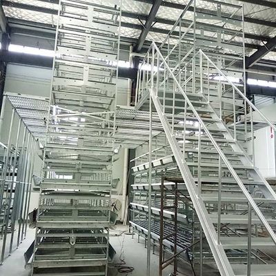 لایه لایه ای 4/5/6/8 Tiers H Layer Layer Lage Cage 120 * 60 * 70 Cm اندازه