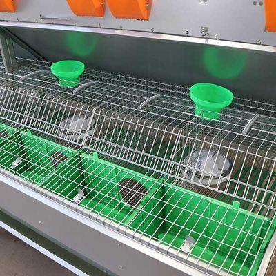 سیم راحت و پلاستیکی خرگوش مزرعه هوشمند خرگوش قفس Q235