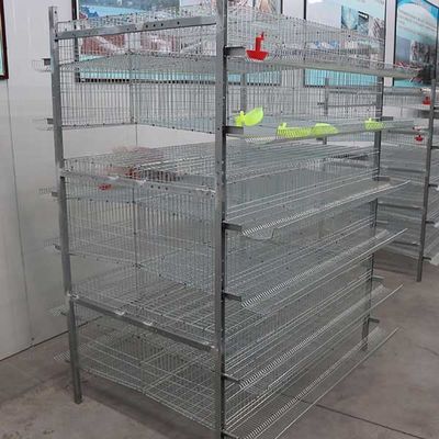 سیستم کنترل خودکار 576 Quails Quail Cage H نوع 6
