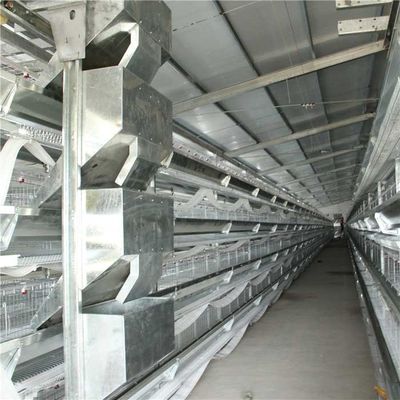 سیستم تغذیه طیور اتوماتیک تجاری ، تجهیزات مزرعه مرغ گوشتی