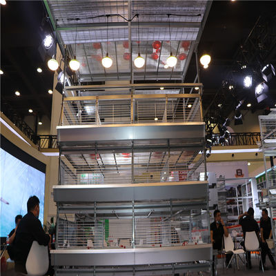 H Type 4 Tiers Automatic Baby Chick Cage تجهیزات مرغداری