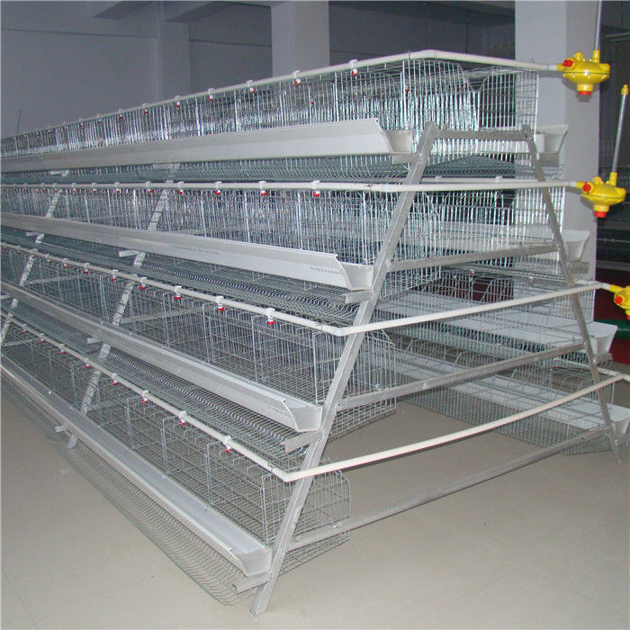 سیستم کود اتوماتیک قفس قفس قفس قفس 3 طبقه پرورش مرغ
