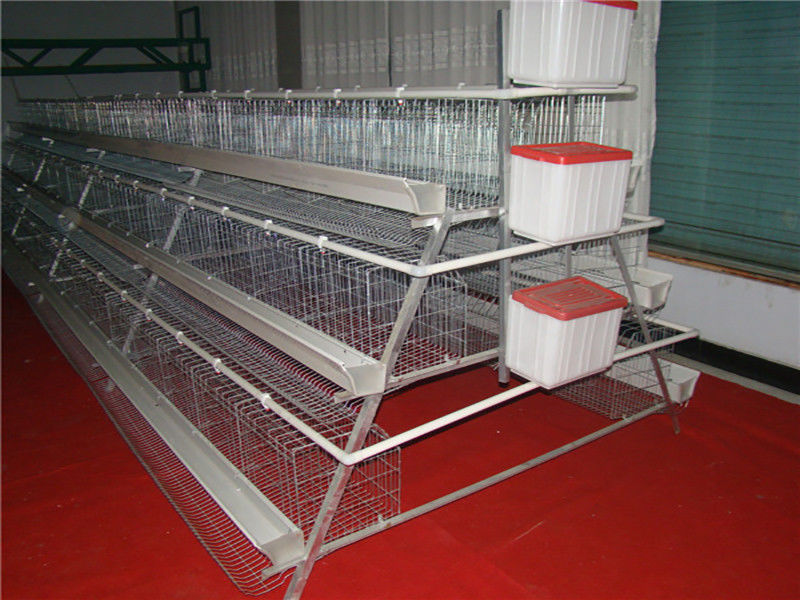 سیستم کود اتوماتیک قفس قفس قفس قفس 3 طبقه پرورش مرغ