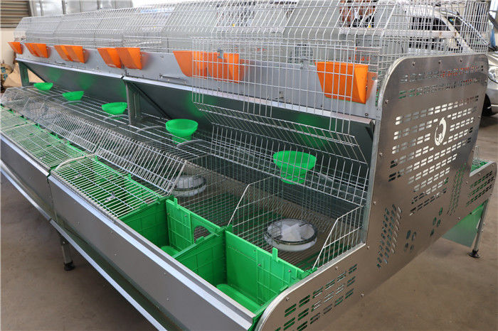 تجهیزات طیور Q235 قفس خرگوش مزرعه تمیز کردن خودکار نوشیدنی