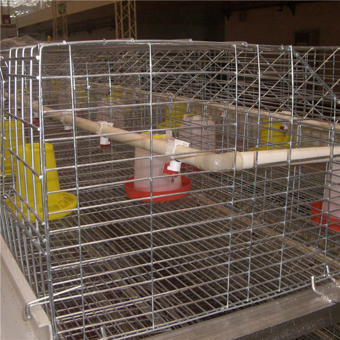 سیستم آشامیدنی قفس جوجه قفس سیم فولادی Q235 264 پرنده