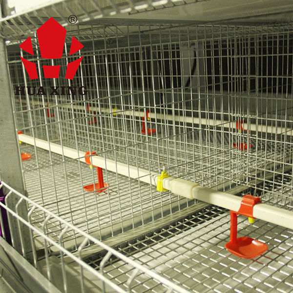 قفس مرغ اتوماتیک گوشتی برای مرغداری های دوامدار طیور