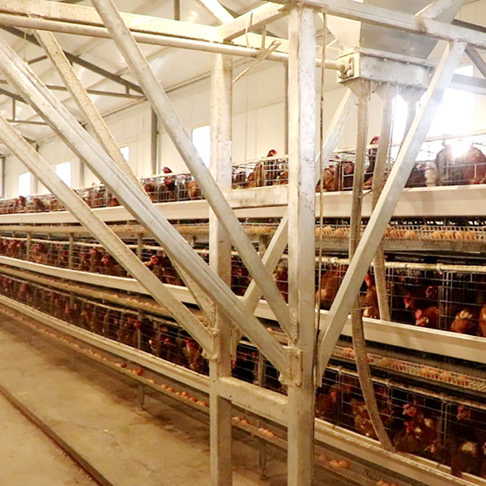 قفس مرغی با لایه ای از نوع قدرتمند برای فروش تخم مرغ در مزرعه در مقیاس بزرگ که تمیز کردن آن آسان است
