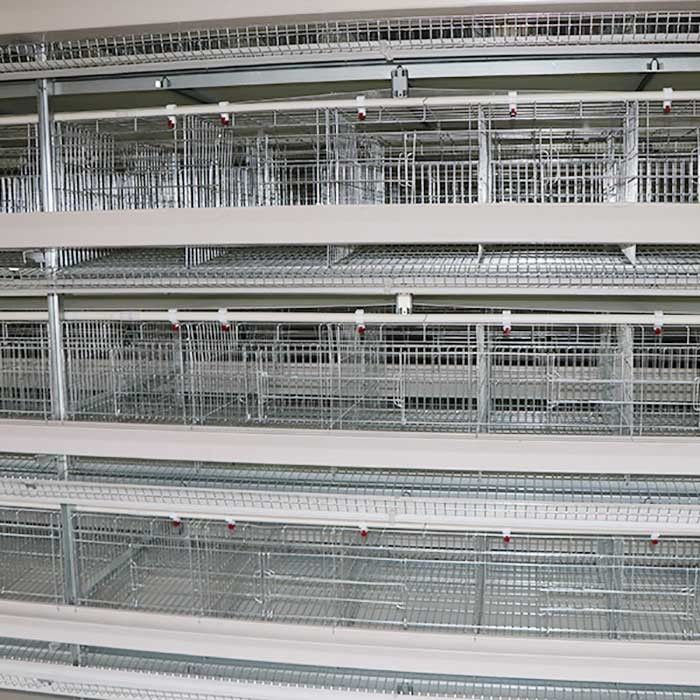 قفس قفس زراعی لایه تخم مرغ Holding Layer ، قفسهای طراحی شده با لایه علمی