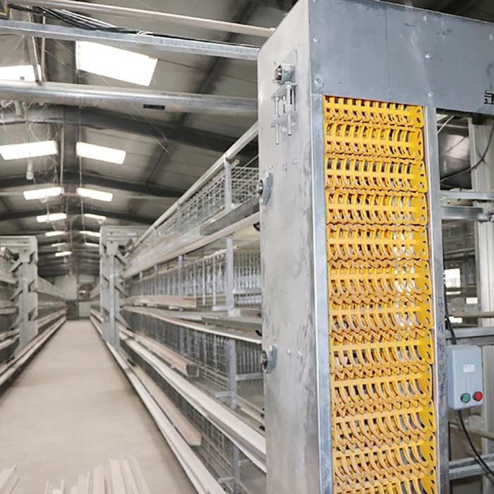 Coop Rearing سیستم تولید قفس باتری در طیور ، قفس لایه ای از نوع مرغ