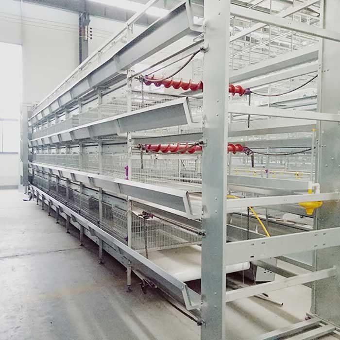 سیستم قفس باتری اتوماتیک بروکر برای طیور دامداری