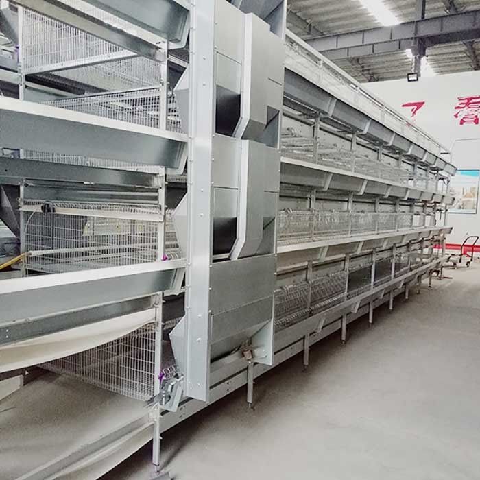 قفس مرغ گوشتی داخلی گوشتی قدرتمند 96 - 120 ظرفیت پرندگان با سیستم کود دامی