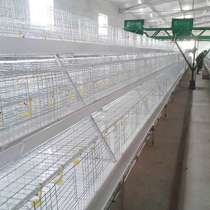 قفس مرغ گوشتی داخلی گوشتی قدرتمند 96 - 120 ظرفیت پرندگان با سیستم کود دامی