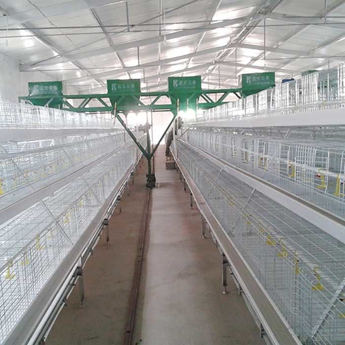نصب قفس مرغ گوشتی گوشتی گوشتی نوع 3 نوع کنترل خودکار