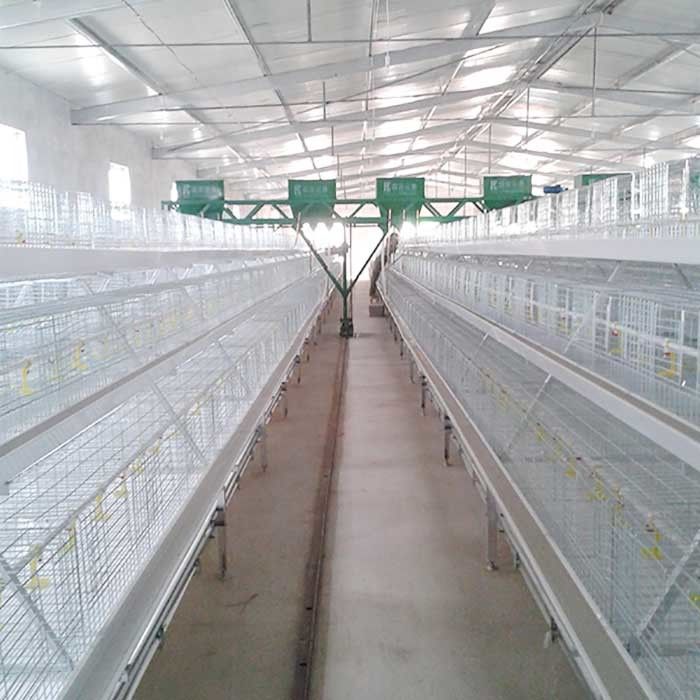 سیستم قفس مرغ گوشتی داغ داغ ، قفس مرغداری با تکنولوژی بالا Q235
