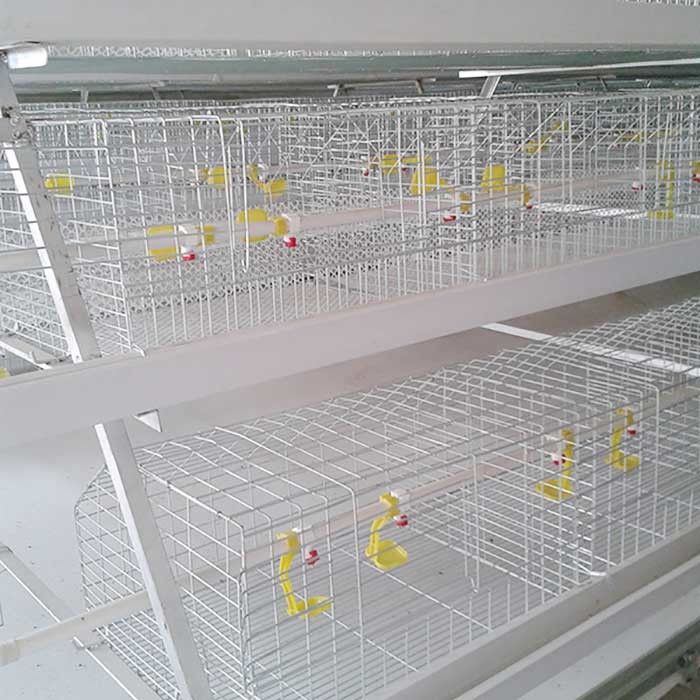 قفس استیل ضد حریق برای مرغ ، خانه مرغداری قفس مزرعه گوشتی داخلی