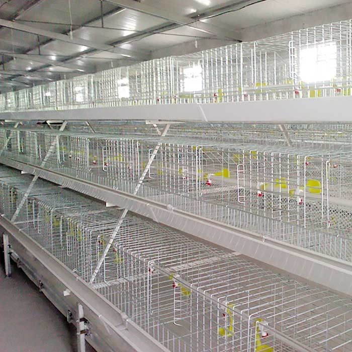 قفس مرغ گوشتی نقره ای سفید و سفید مقاوم در برابر حرارت با سیستم تغذیه / EC