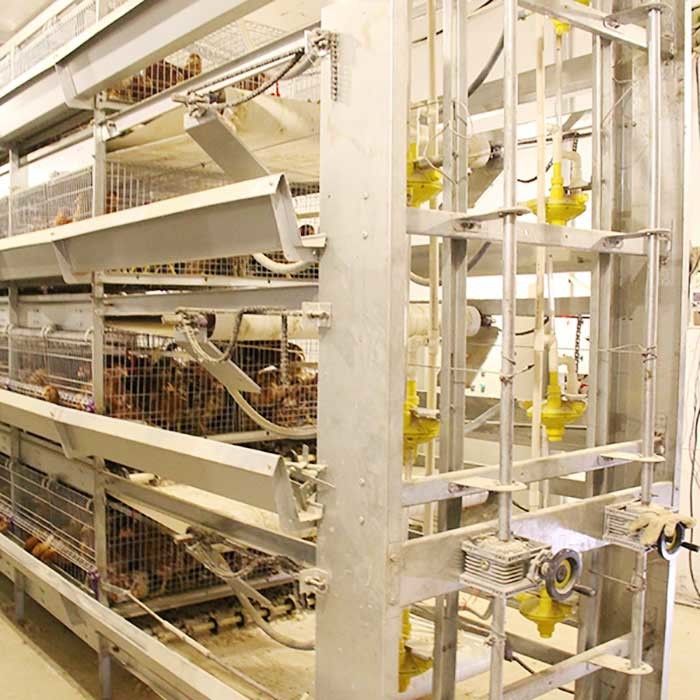 سیستم تغذیه دستی قفس مرغ طیور برای مرغ جوجه 20 سال طول عمر