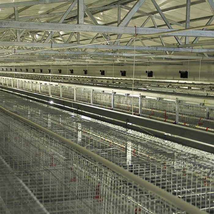 تجهیزات کشاورزی طیور باتری ، قفس مرغ خانگی با دوام H نوع 192
