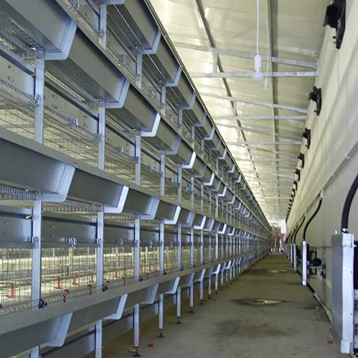 کمتر خوراک قفس مرغ در فضای داخلی ضایعات ، قفس مزرعه طیور تغذیه خودکار