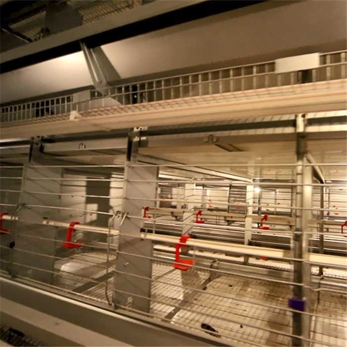 قفس های تولید سیم ضد حریق تمیز کردن آسان 129 جوجه ماده / ظرفیت جوجه های نر