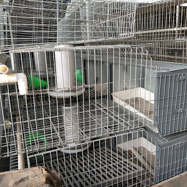 24 سلول باتری عامل قفس خرگوش مزرعه قفس دو طبقه آسان تمیز کردن دوام
