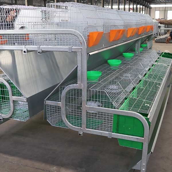 2400 * 2000 * قفس خرگوش مزرعه 1500mm برای حمل و نقل بارگیری و تولید کانتینر