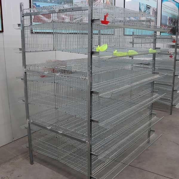 سیستم کنترل خودکار 576 Quails Quail Cage H نوع 6