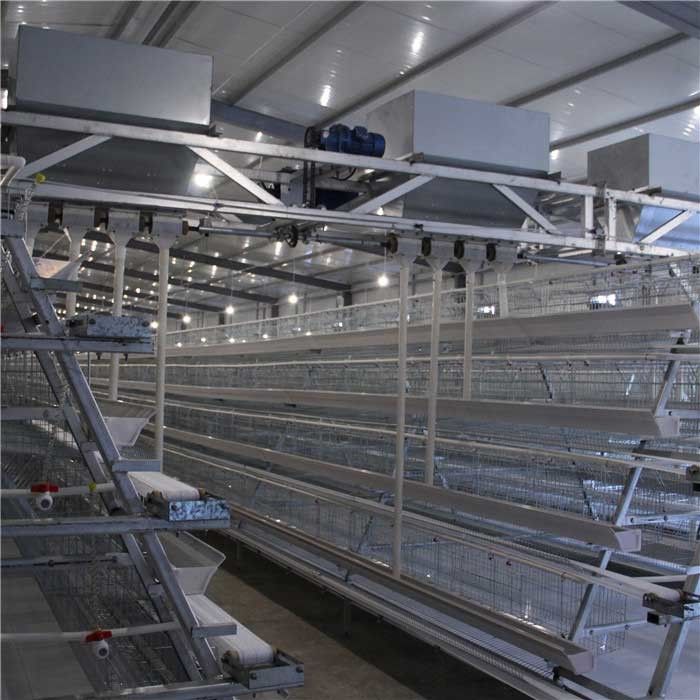 غذاساز مزرعه مرغداری با دوام با سرعت بالا ، دستگاه پخش خودکار مواد غذایی مرغ