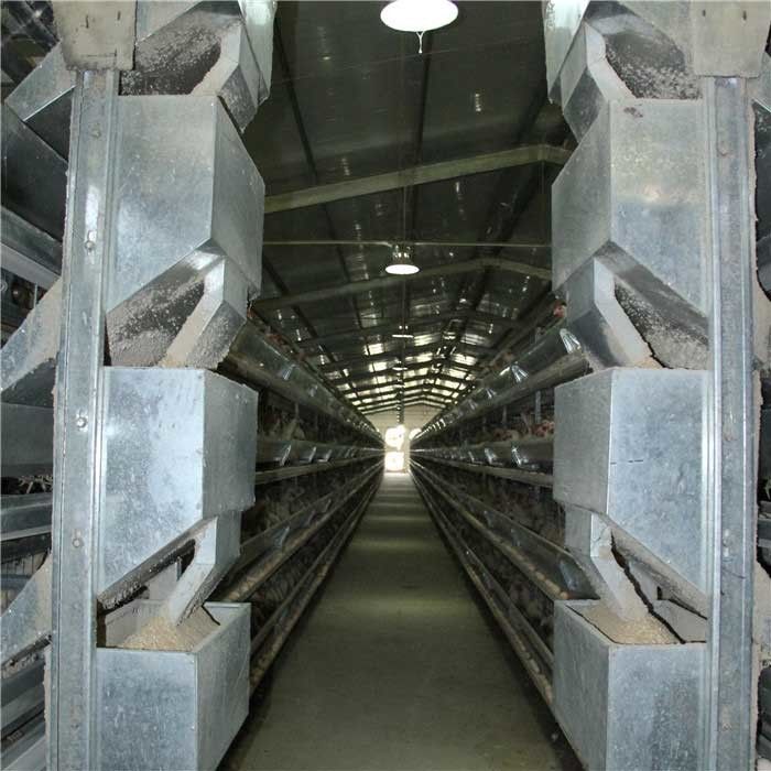 تجهیزات مزرعه گوشتی سخت و محکم قاب مورد نیاز برای مرغداری های سنگین وزن