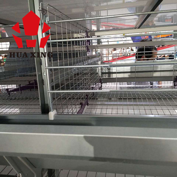 قفس های لایه ای مرغ گوشتی 96 پرنده 3 طبقه دارای سیستم تغذیه خودکار