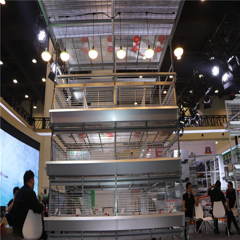 H Type 4 Tiers Automatic Baby Chick Cage تجهیزات مرغداری