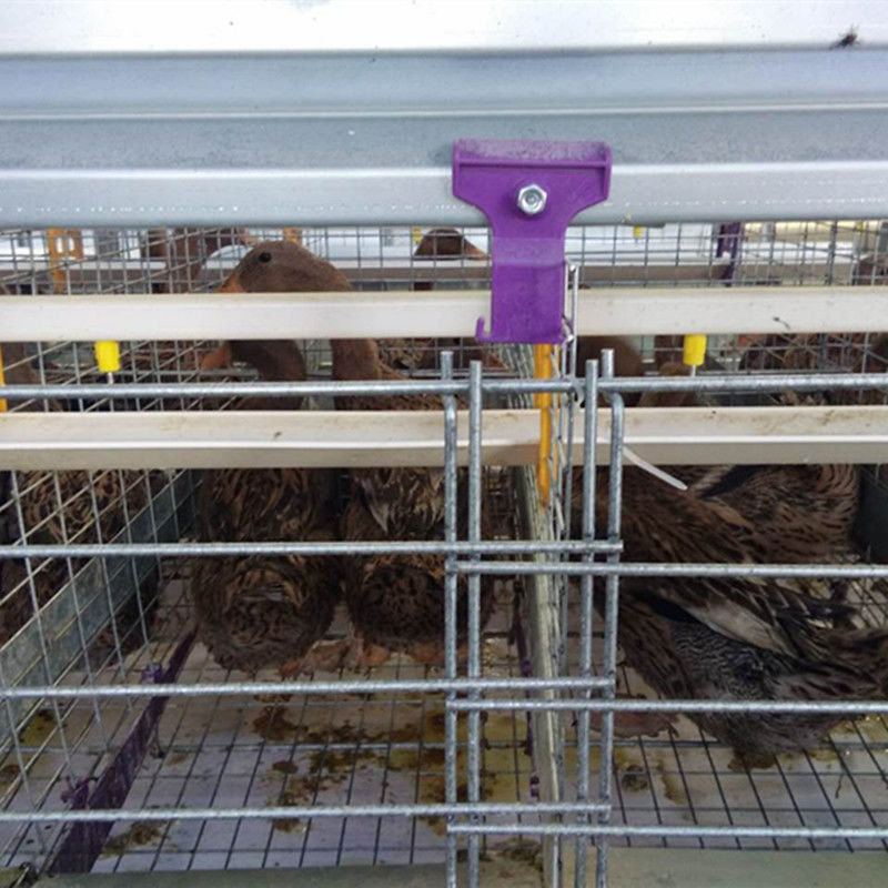 قفس اردک چینی تخمگذار تجهیزات پرورش اردک 3 لایه قفس مرغ اردک لایه ای