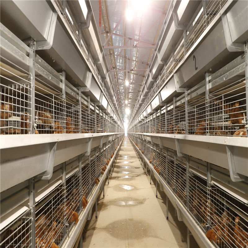جوجه های روز باتری قفس پرورش مرغ قفس برای جوجه های لایه ای