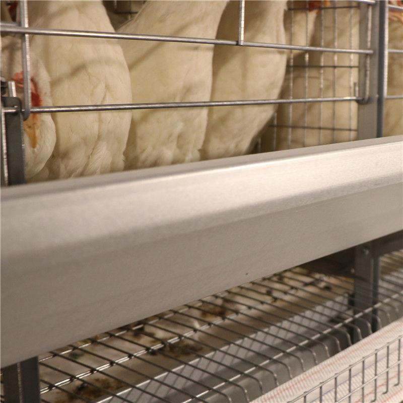 SGS Egg Battery Layer Chicken Cage مزرعه مرغداری مقاوم در برابر خوردگی