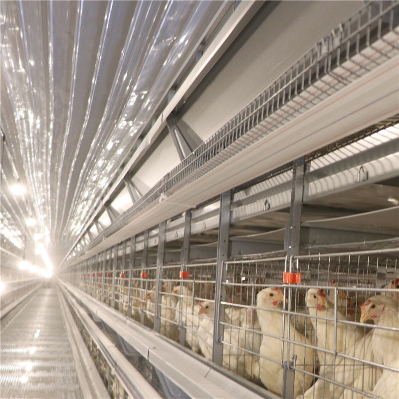 قفس مرغ با باتری 128 پرنده مدرن برای مزرعه پاکستان