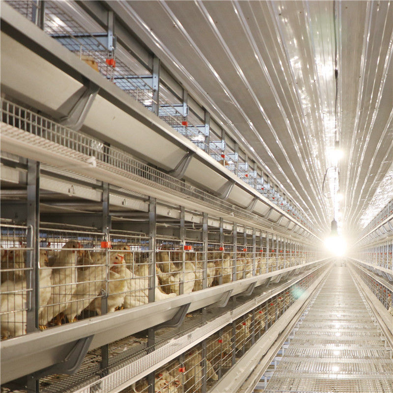 قفس مرغ با باتری 128 پرنده مدرن برای مزرعه پاکستان