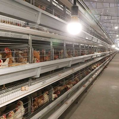 تخمگذار اتوماتیک تجهیزات مرغداری H Type 4Tiers 192 Birds Layer Battery قفس مرغ برای بازارهای آفریقا